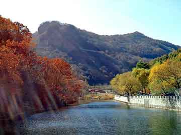 管家婆黑白马报图库，河北农大跳楼